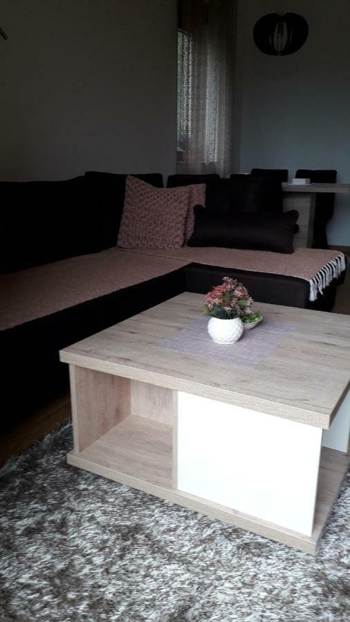 Apartman Nana Svetogorska 19 ,Stan 17 Zlatibor Exterior foto