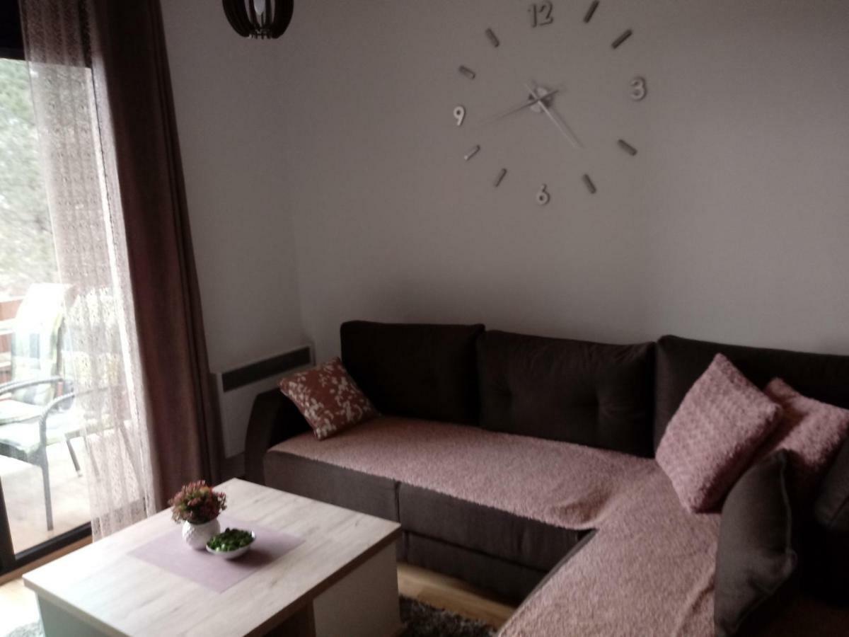 Apartman Nana Svetogorska 19 ,Stan 17 Zlatibor Exterior foto